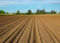 Why the Church is involved in facilitating negotiations between commercial farmers and land reparation beneficiaries