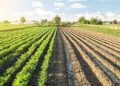 Why the Church is involved in facilitating negotiations between commercial farmers and land reparation beneficiaries