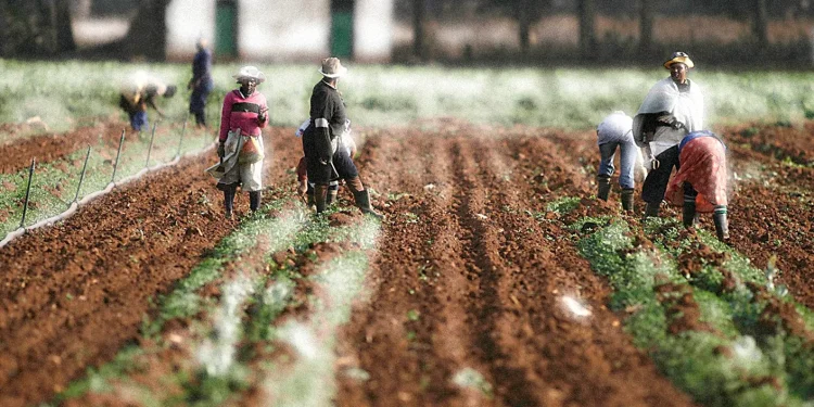 Land Redistribution In South Africa:  Church Leading By Example