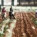 Land Redistribution In South Africa: Church Leading By Example